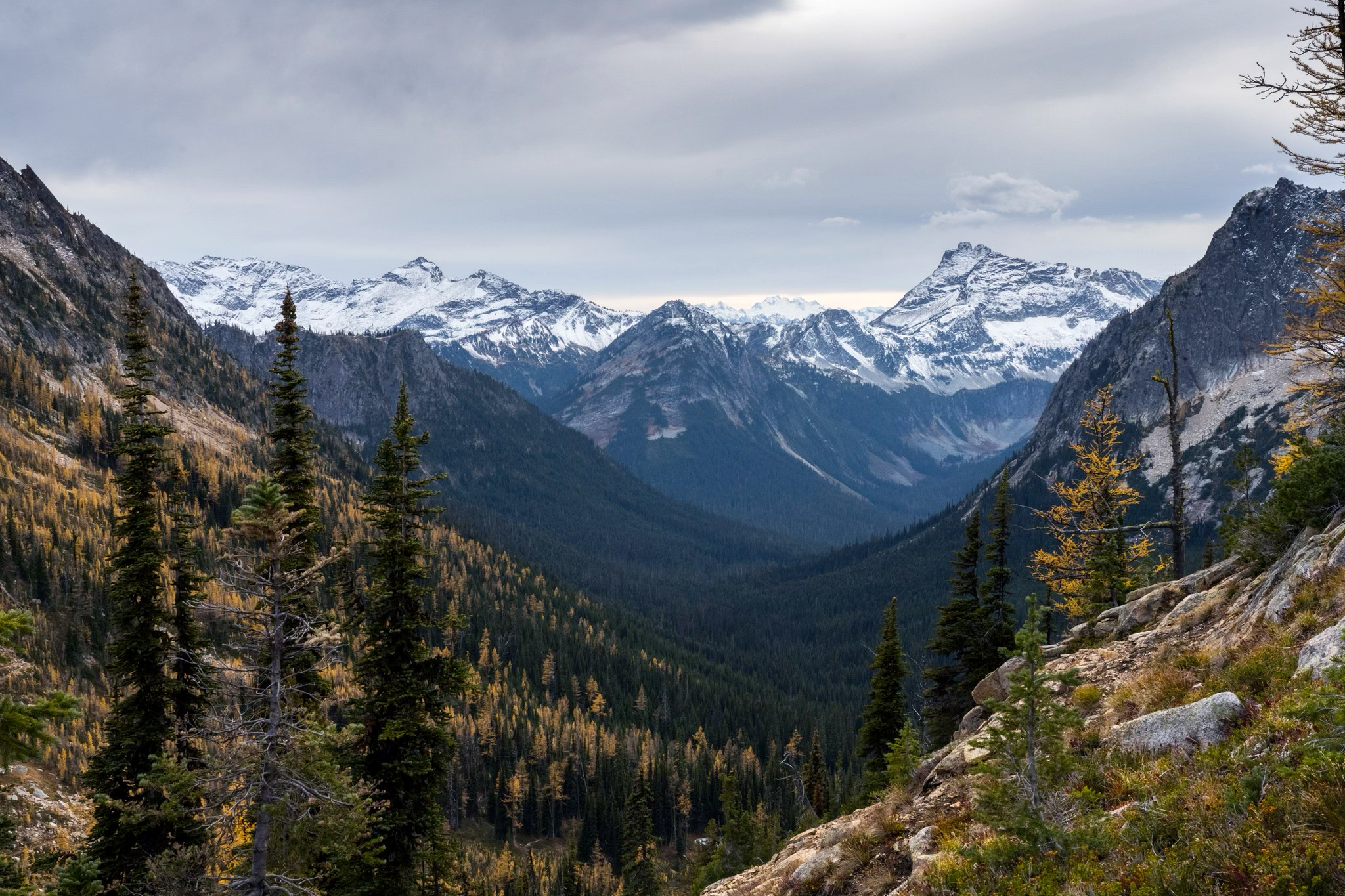 Print of the Month - December/Jan 2025