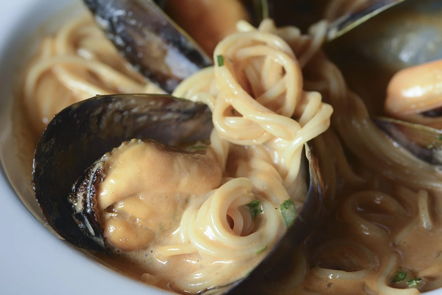 Appetizer-Mussels-and-Pasta-DSC_0852.jpg