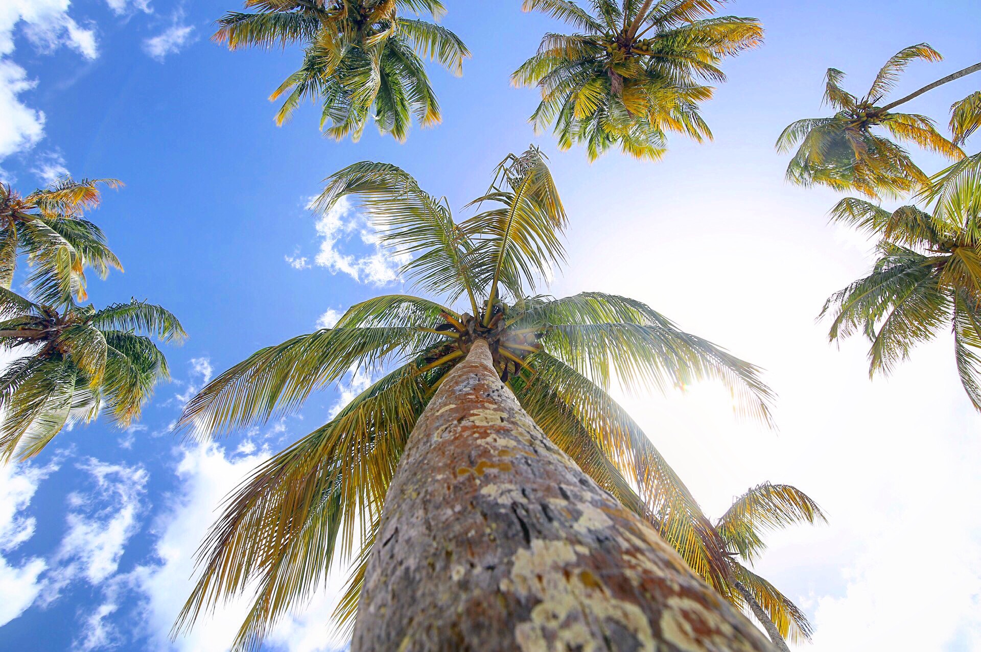  Maracas Bay Village - Trinidad 