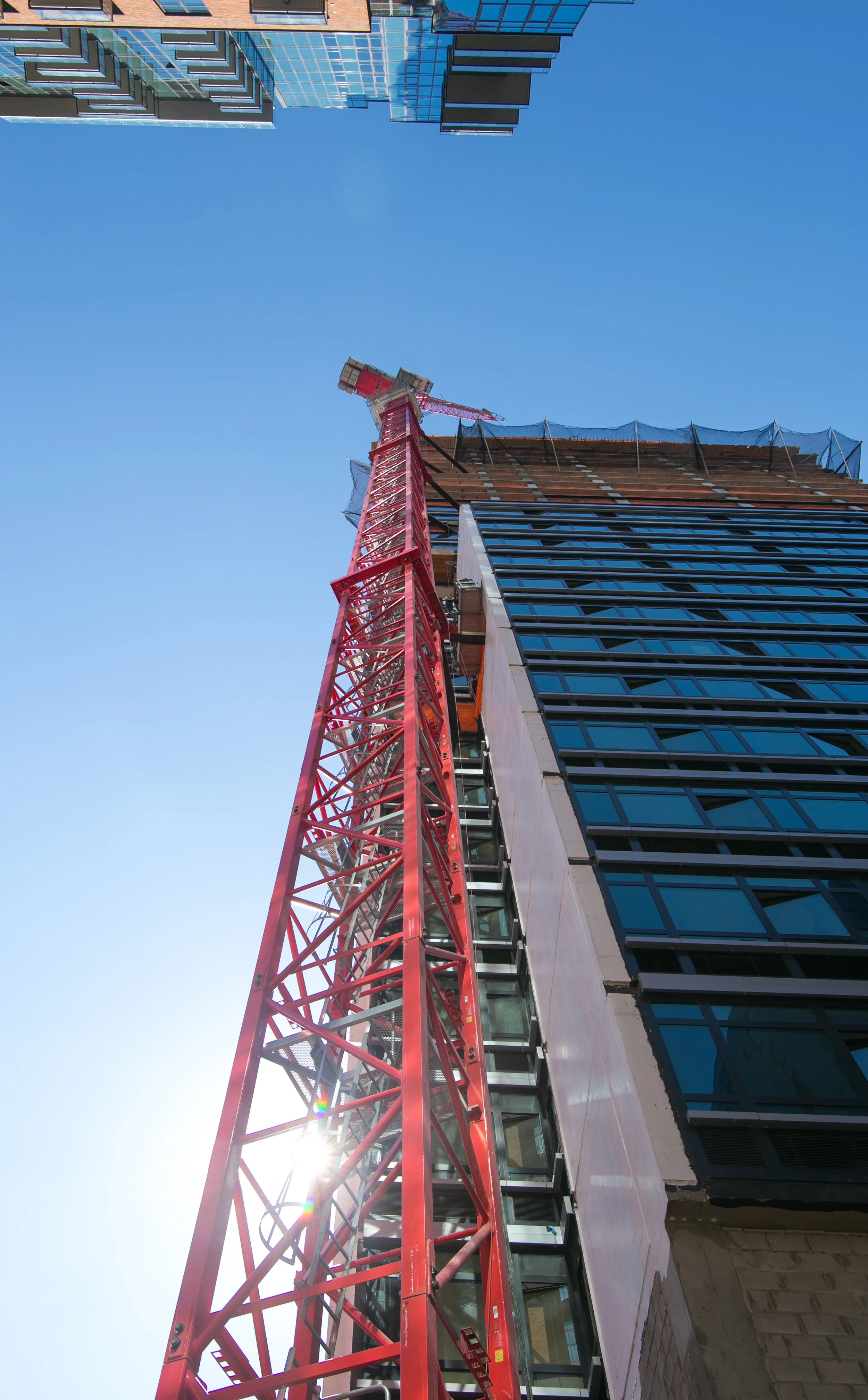 Queens Crane - Mike Schwarz_.jpg