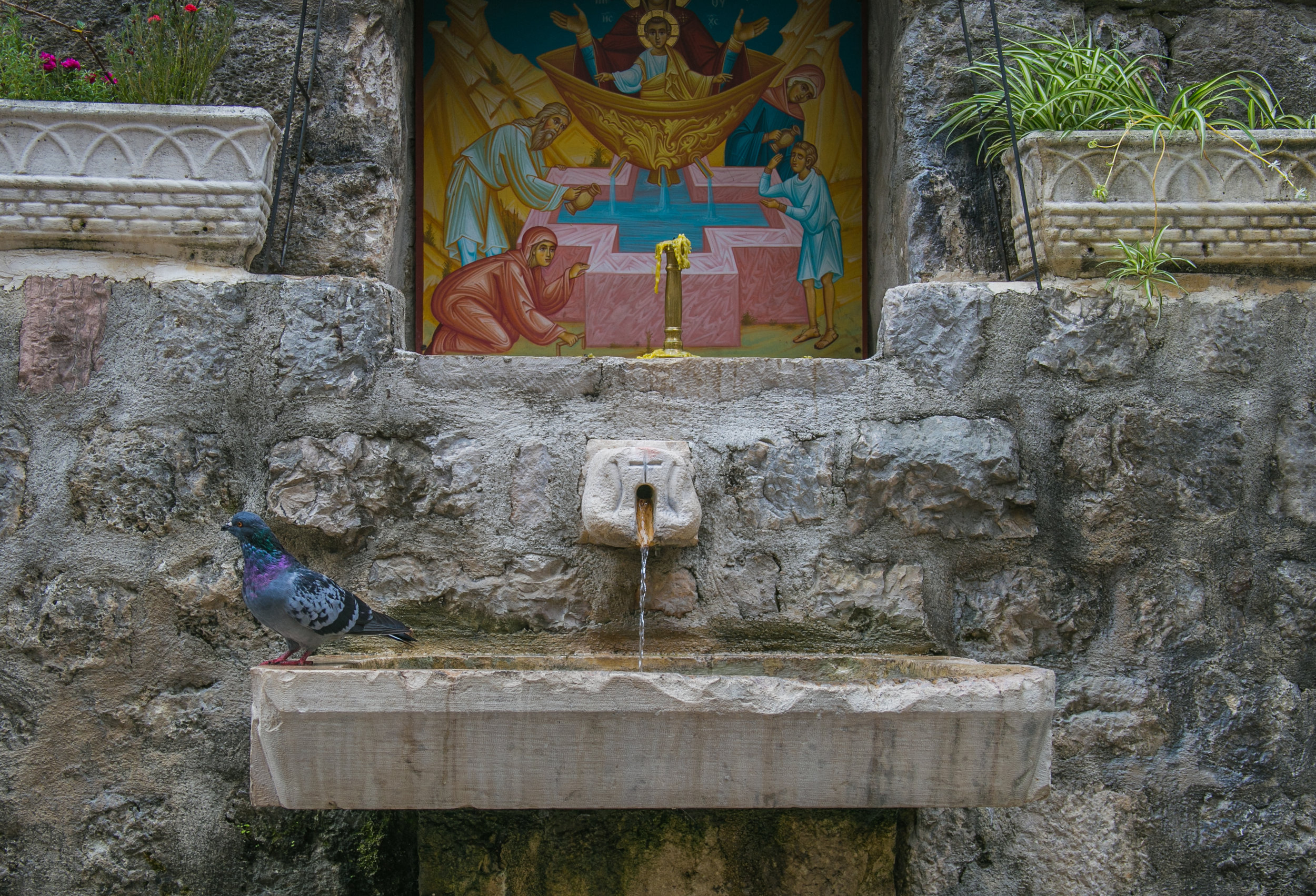  A spring containing holy water behind a church in the Old City of Kotor, Montenegro.&nbsp; 