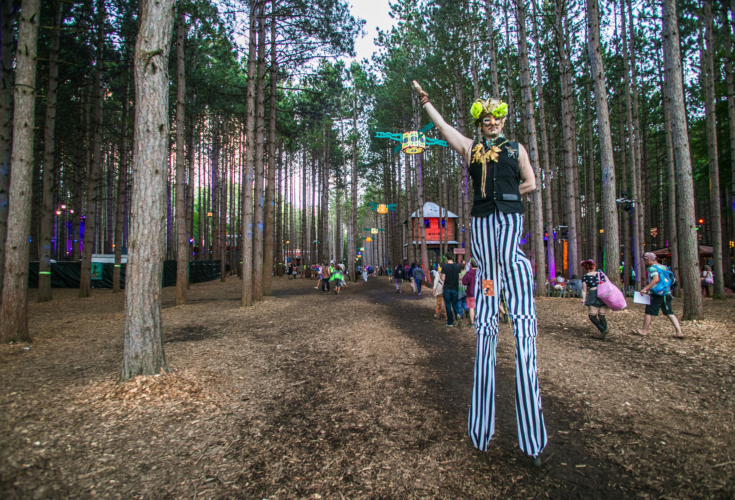 Electric Forest 2017 - Mike Schwarz_-18.jpg