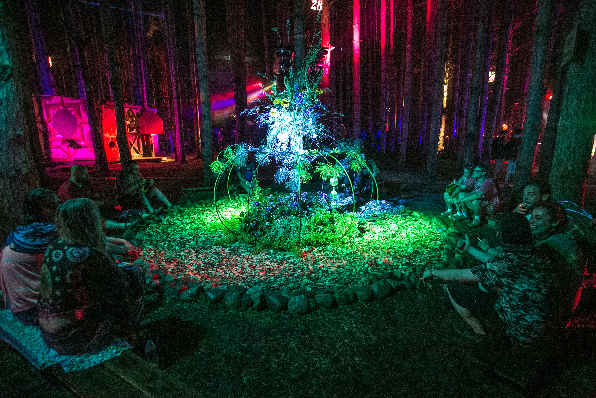Electric Forest 2017 - Mike Schwarz_.jpg