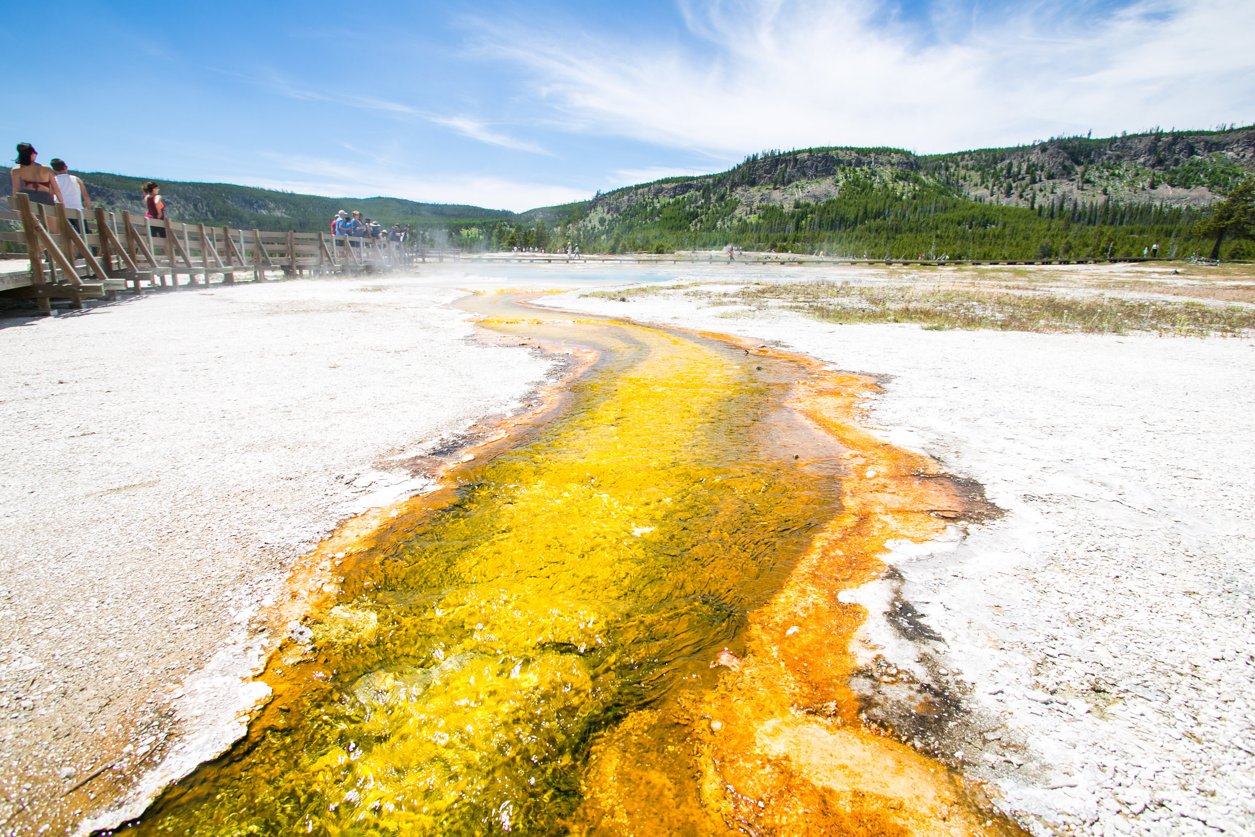 Yellowstone - Mike Schwarz_-5.jpg