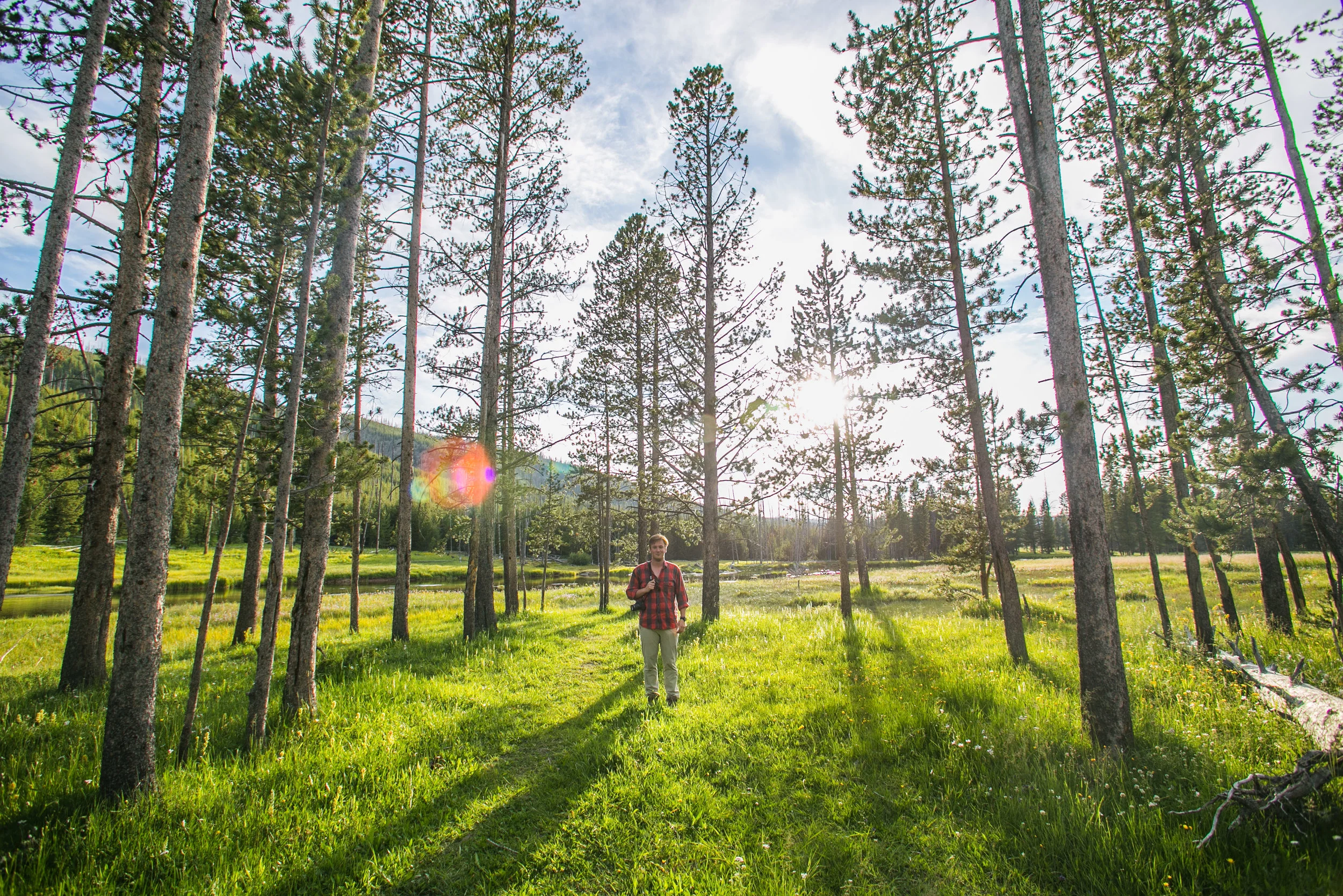 Roadside pull-off - Yellowstone National Park, WY