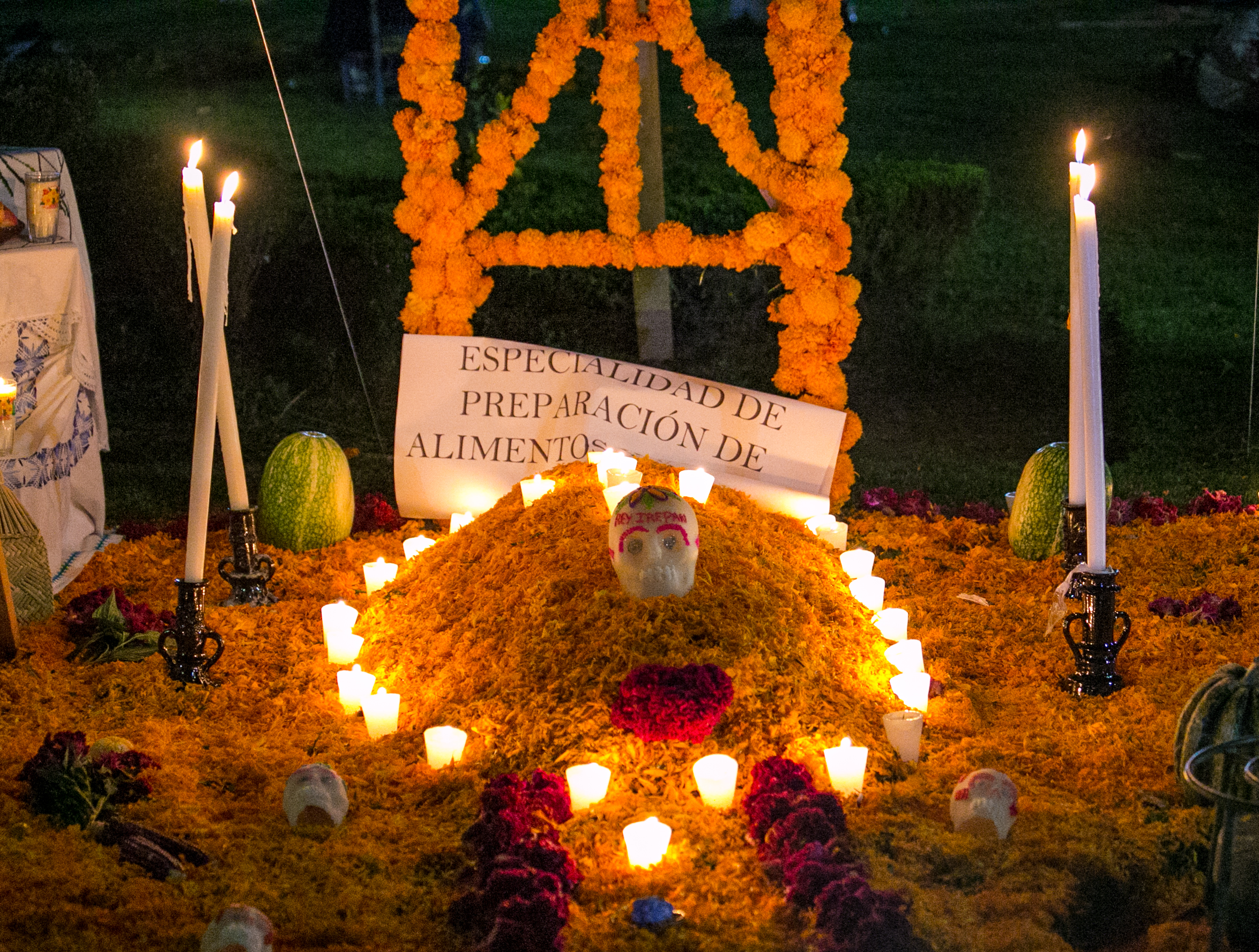 Day of the Dead Day 13-3.jpg