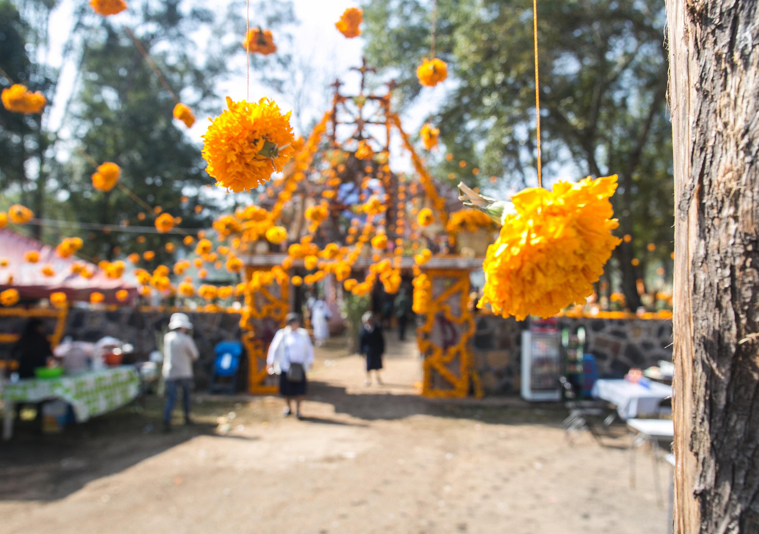 Day of the Dead Finals-79.jpg
