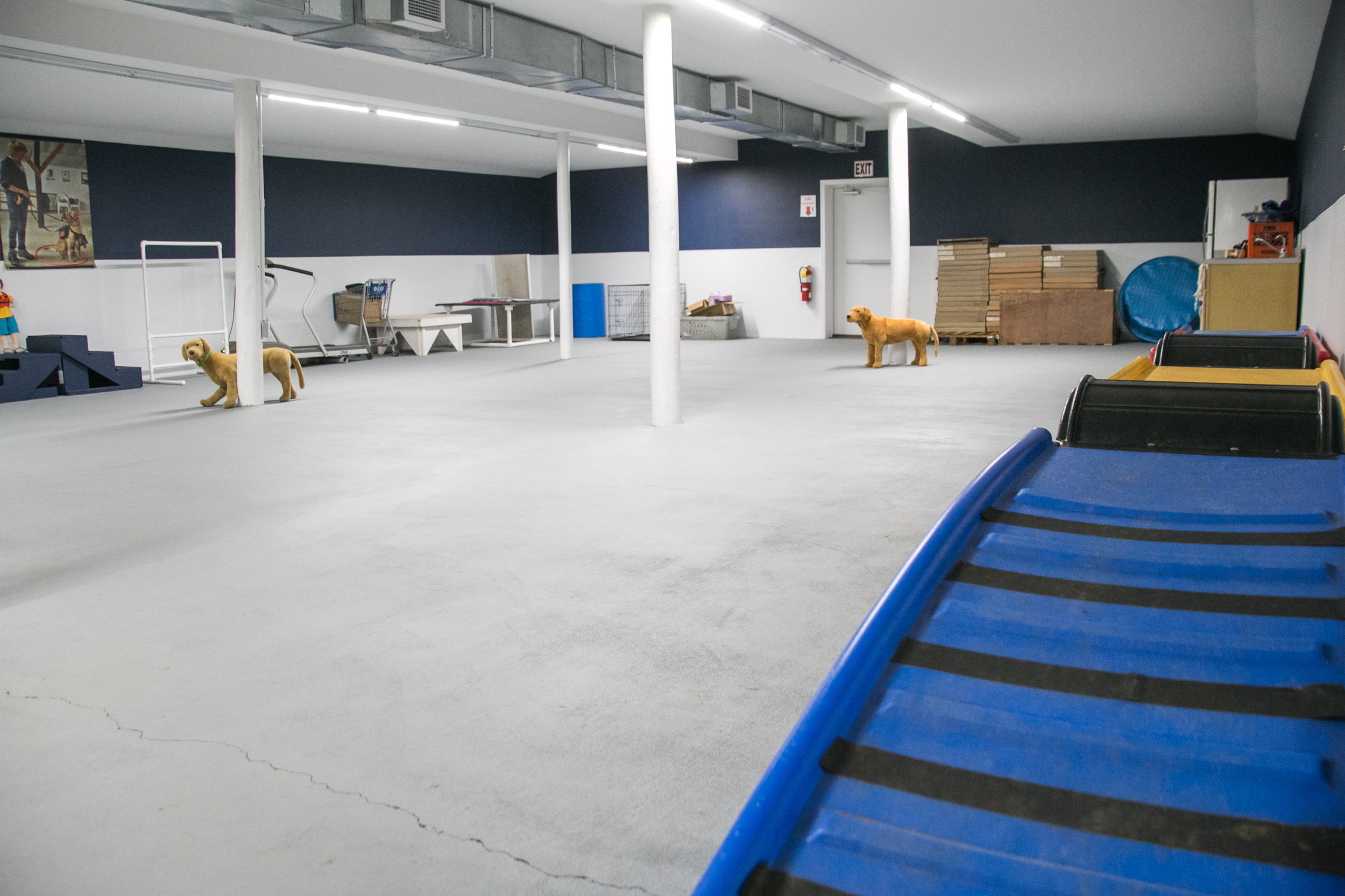  The training facility at the Canine Partners for Life Headquarters in Cochranville, PA. 