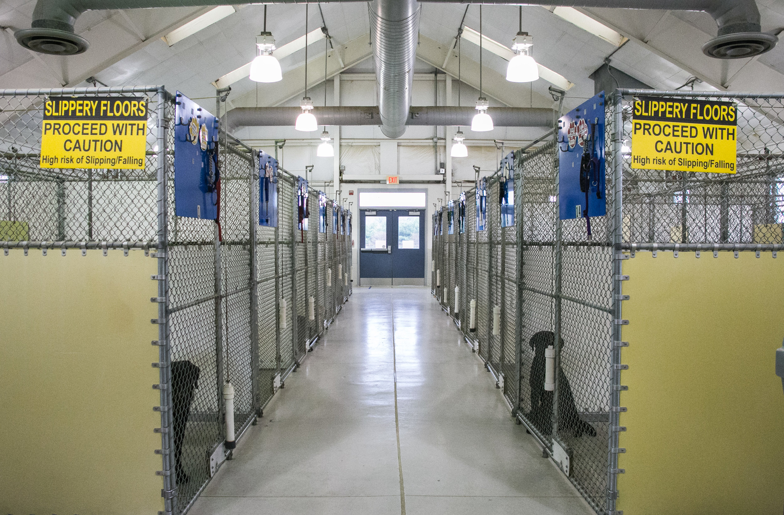  Canine housing quarters at the Canine Partners for Life Headquarters in Cochranville, PA. 
