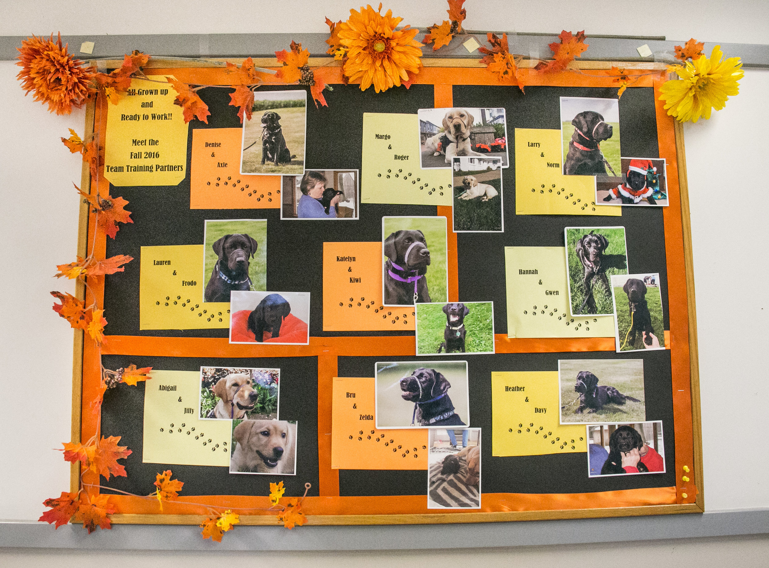  The introduction board walking into the main building of the Canine Partners for Life Headquarters in Cochranville, PA. 