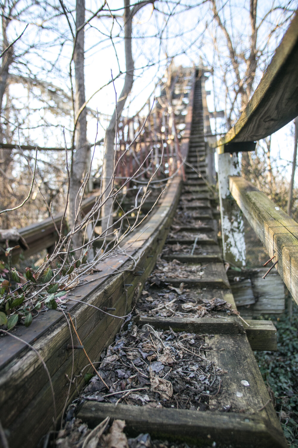 Abandoned Roller Coaster-8.jpg