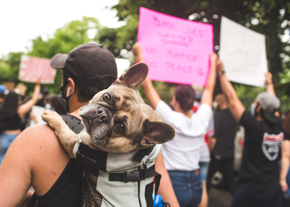 June 3rd - Bushwick March-9.jpg