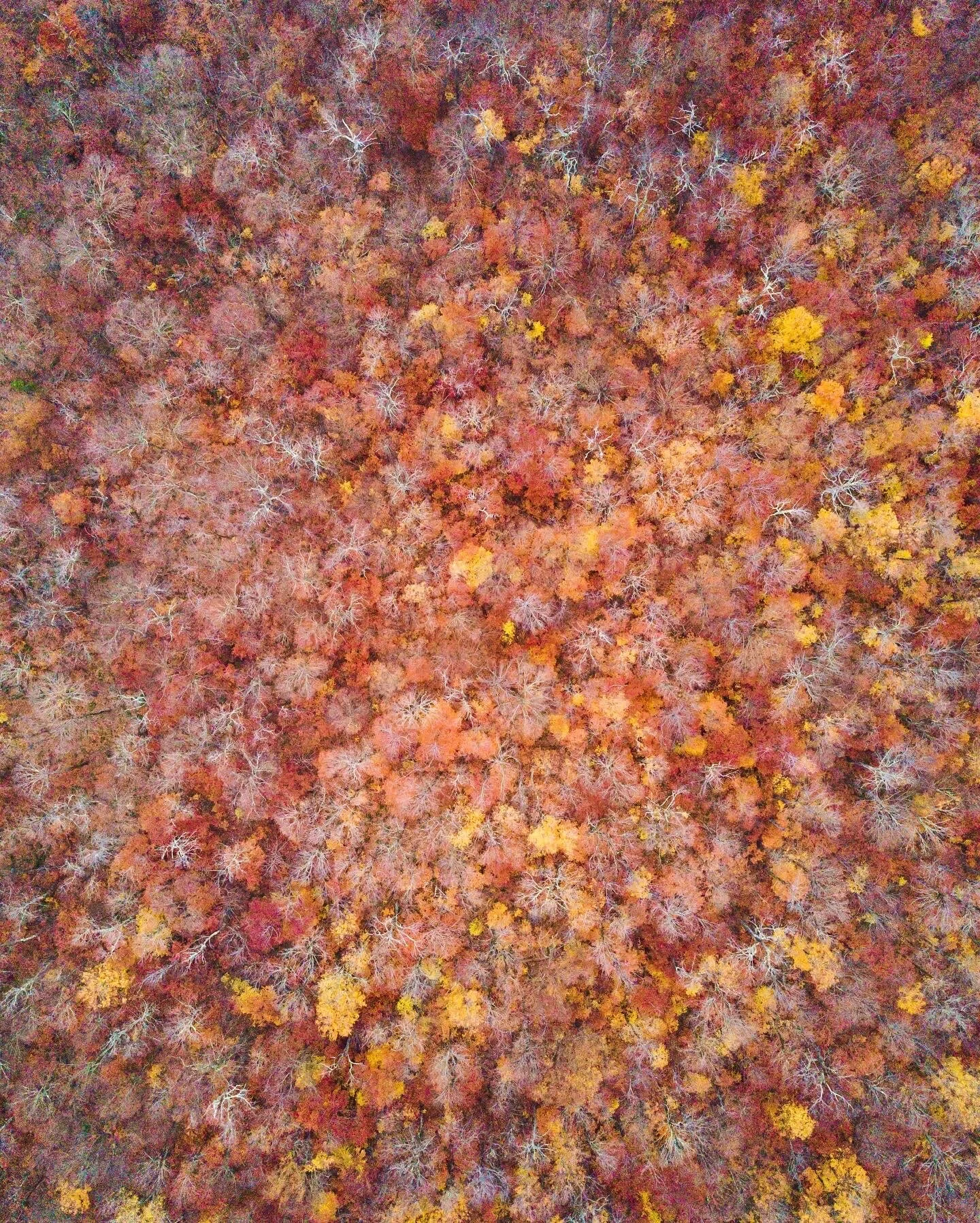 Catskills - New York