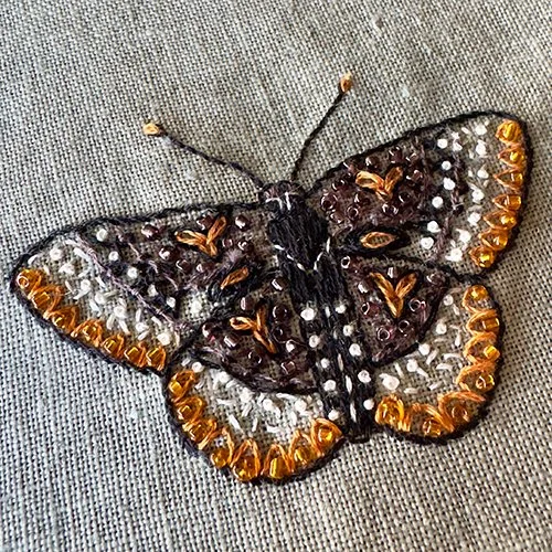 Advanced Embroidery Stitches (Virtual)
