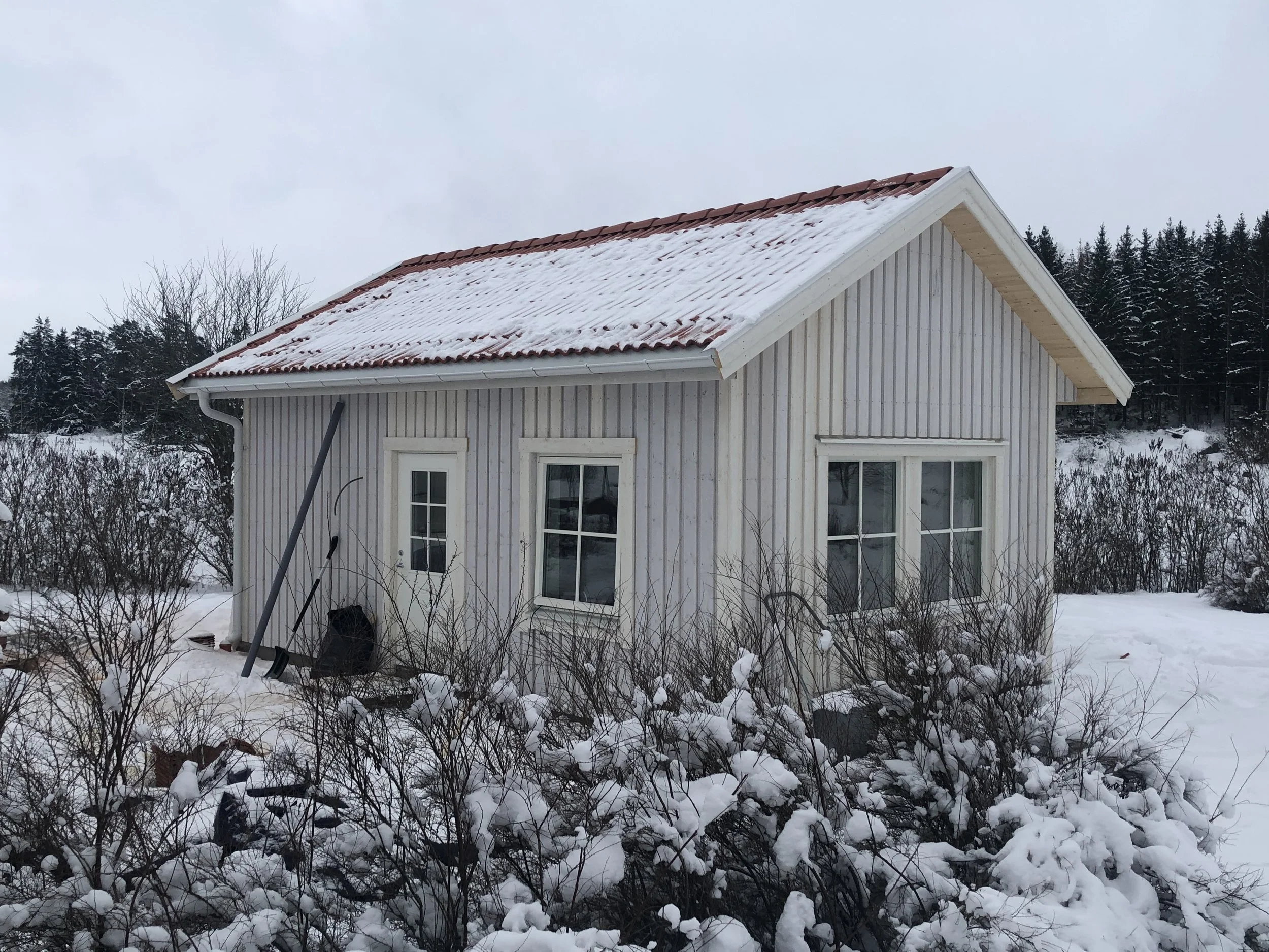 Foto 2019-02-01 08 46 29.jpg