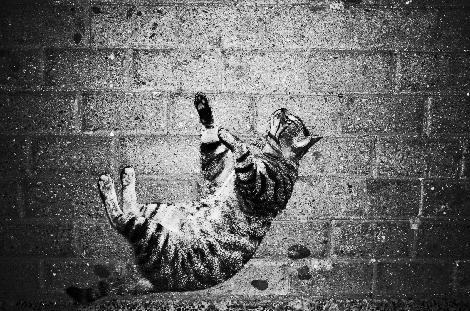 Istanbul, August 2015 Copycat website-34.jpg