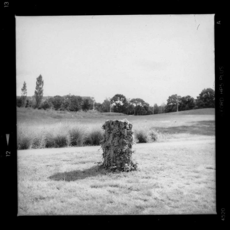 trunk-2.jpg