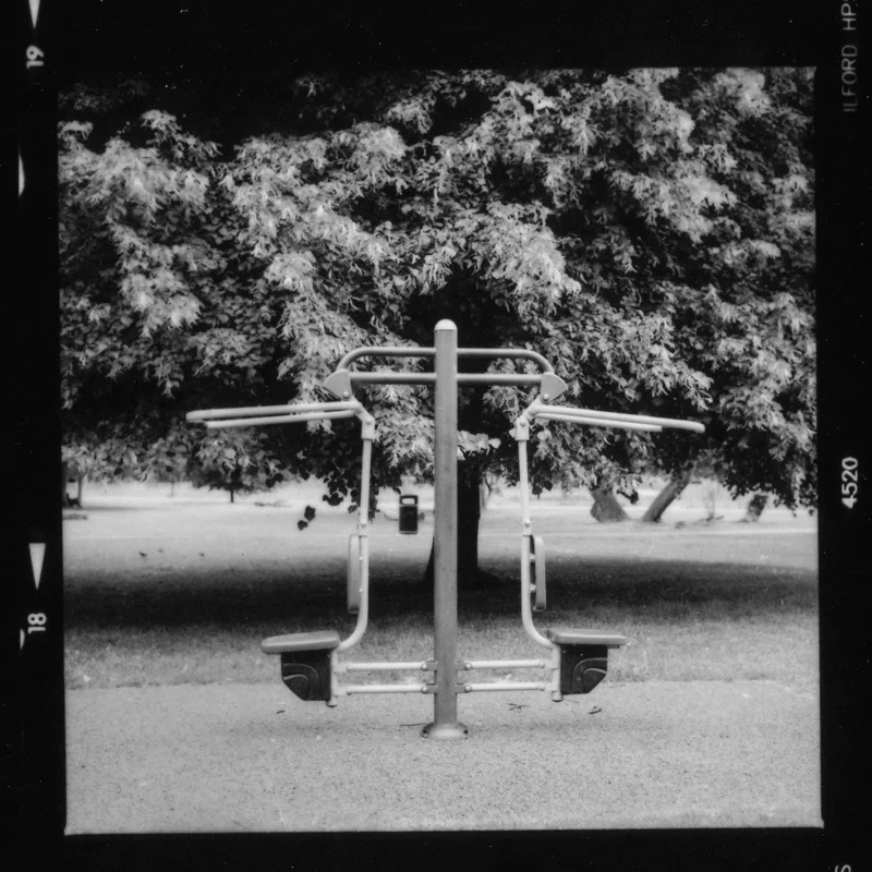 trunk-4.jpg