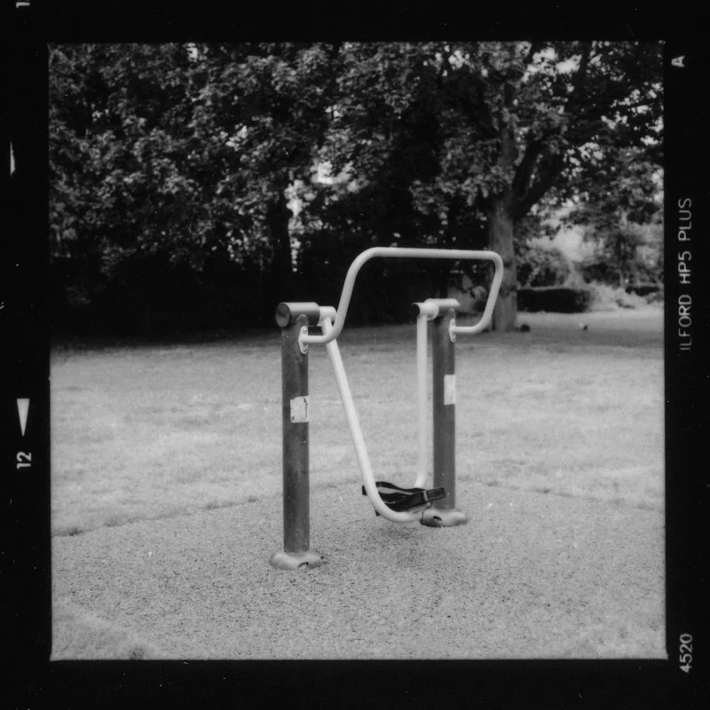 trunk-6.jpg