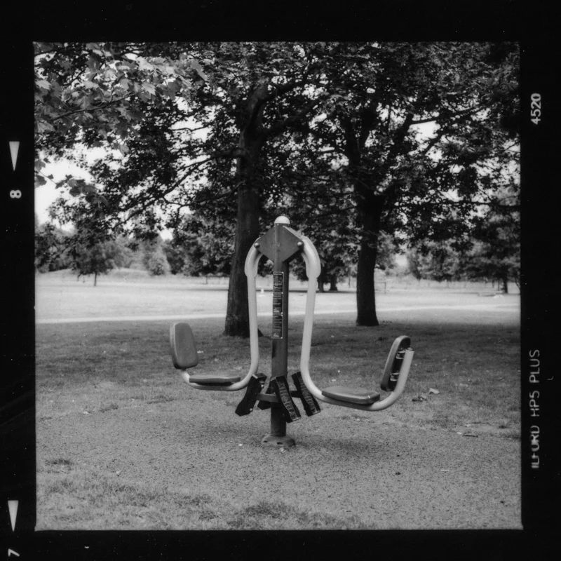 trunk-8.jpg