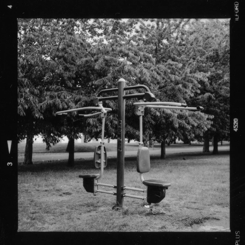 trunk-11.jpg