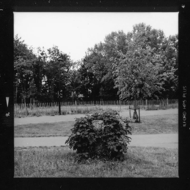 trunk-15.jpg