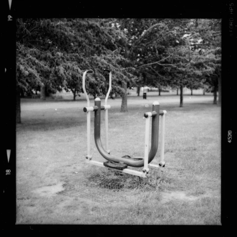 trunk-16.jpg