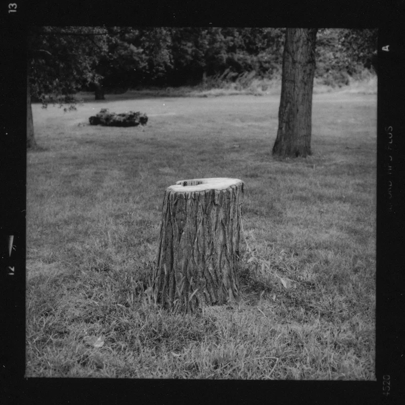 trunk-18.jpg