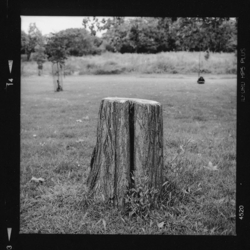 trunk-19.jpg