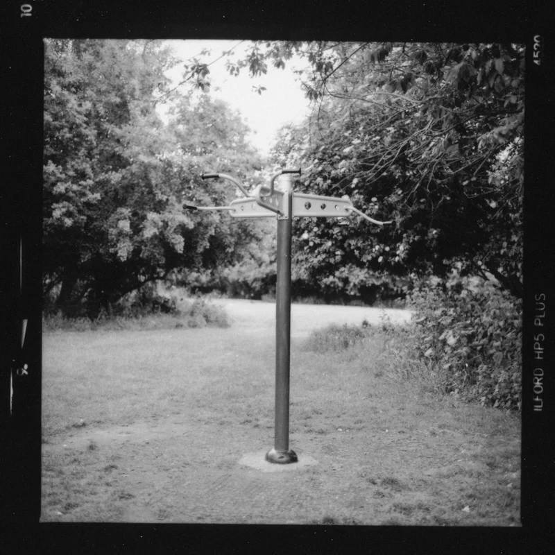 trunk-22.jpg