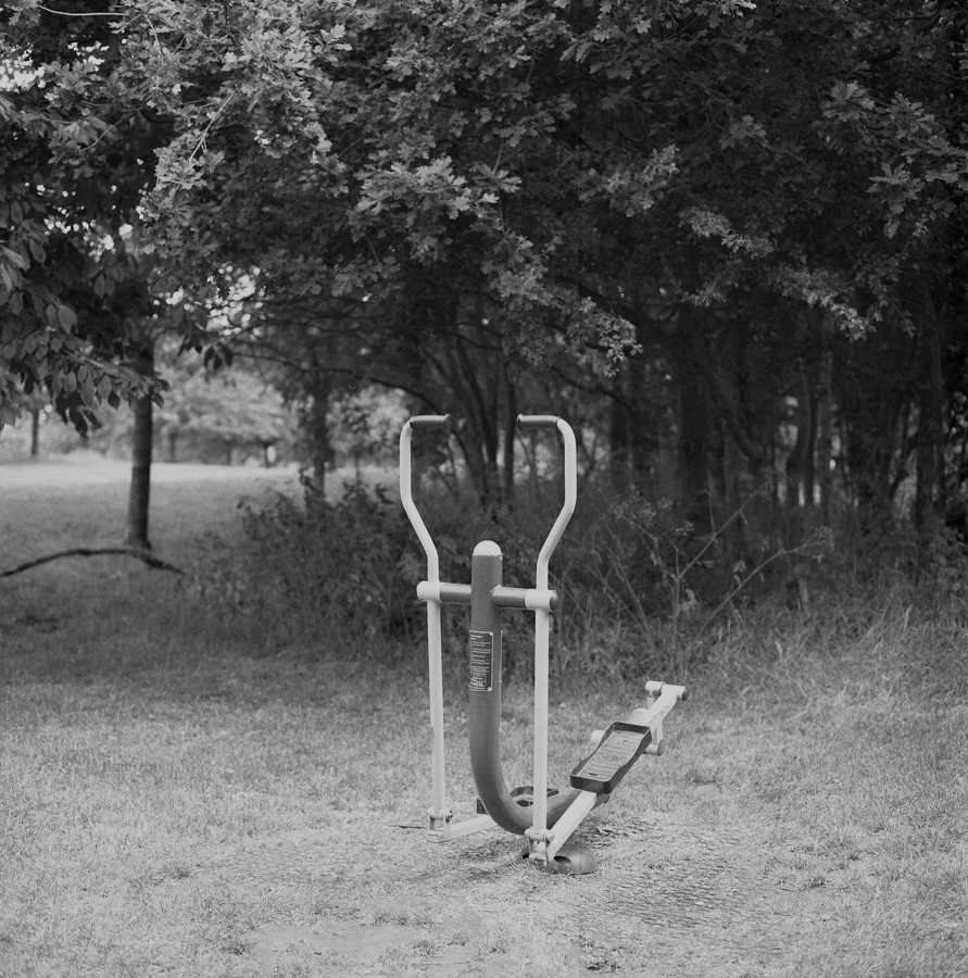 Hass500CM_HP5_2019-workout016.jpg