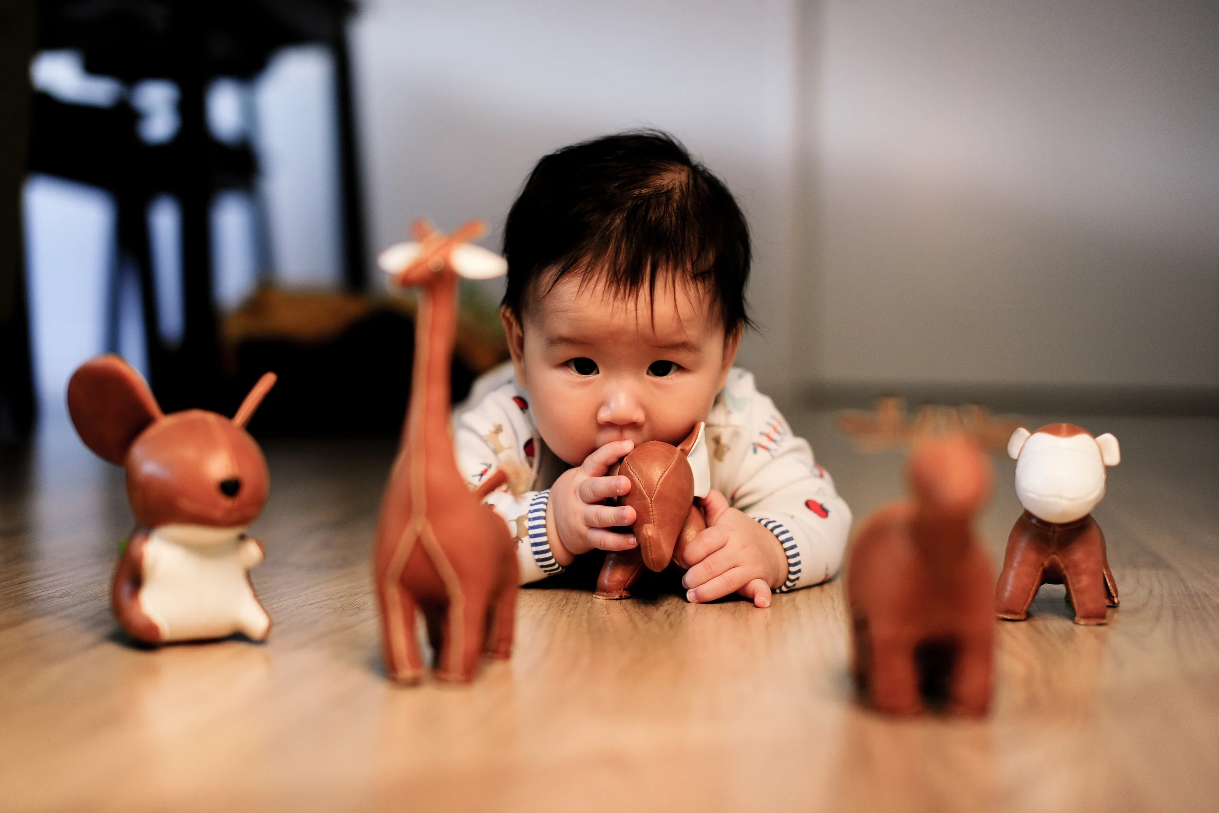 20131027-DSC_5479.jpg