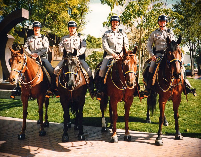Mounted patrols use EasyCare Hoof Boots www.easycareinc.com .....see www.liberatedhorsemanship.com under "free articles" for a beautiful story from Bruce Nock on one of the first mounted patrols to go barefoot. 