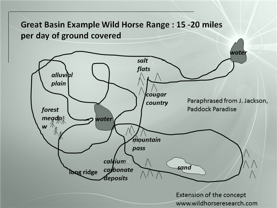 How can we add a little "wild" to your horse's life to increase his fitness, longevity, happiness and health? The principals operating above can also be established in your own little slice of heaven, whether it is a small single family property or a large scale boarding facility. Creativty, joy, understanding.......it is all possible.