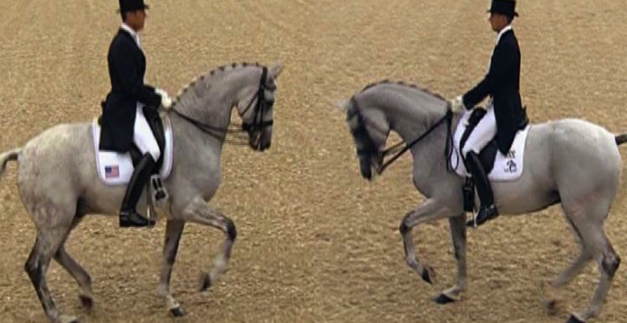 The same gifts the ride on the left is giving the equine my trimming gives to the horses under my care 24 hours a day.......hints 1) look at the effective weight on the standing legs, 2) look how the head, neck, shoulder and front limb all appear to be one well designed piece on the left instead of parts stuck together, 3) look at how the belly or trunk is blocking upward motion of the legs on the right while upward motion of the legs on the left is part of a whole body lifting. Classical and natural collection have a huge content intersection. Landing versus lifting...which would you rather have for your horse?
