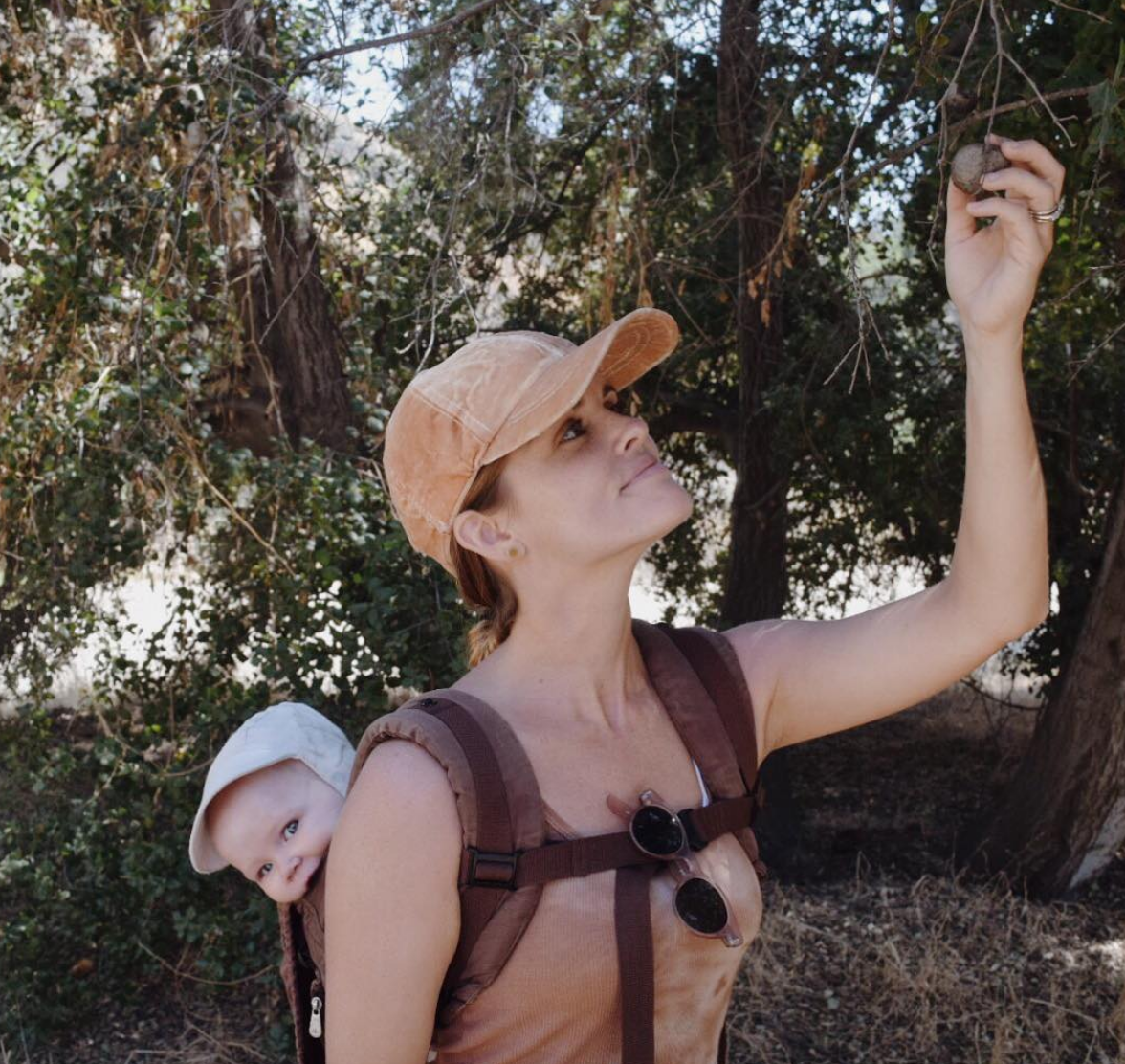 finding oak galls on a family hike.png