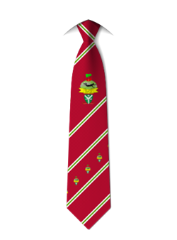 Full Colour - British Int School