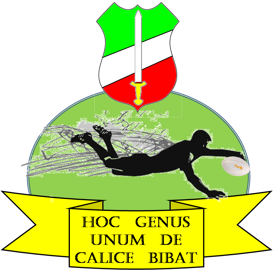 full colour badge.png