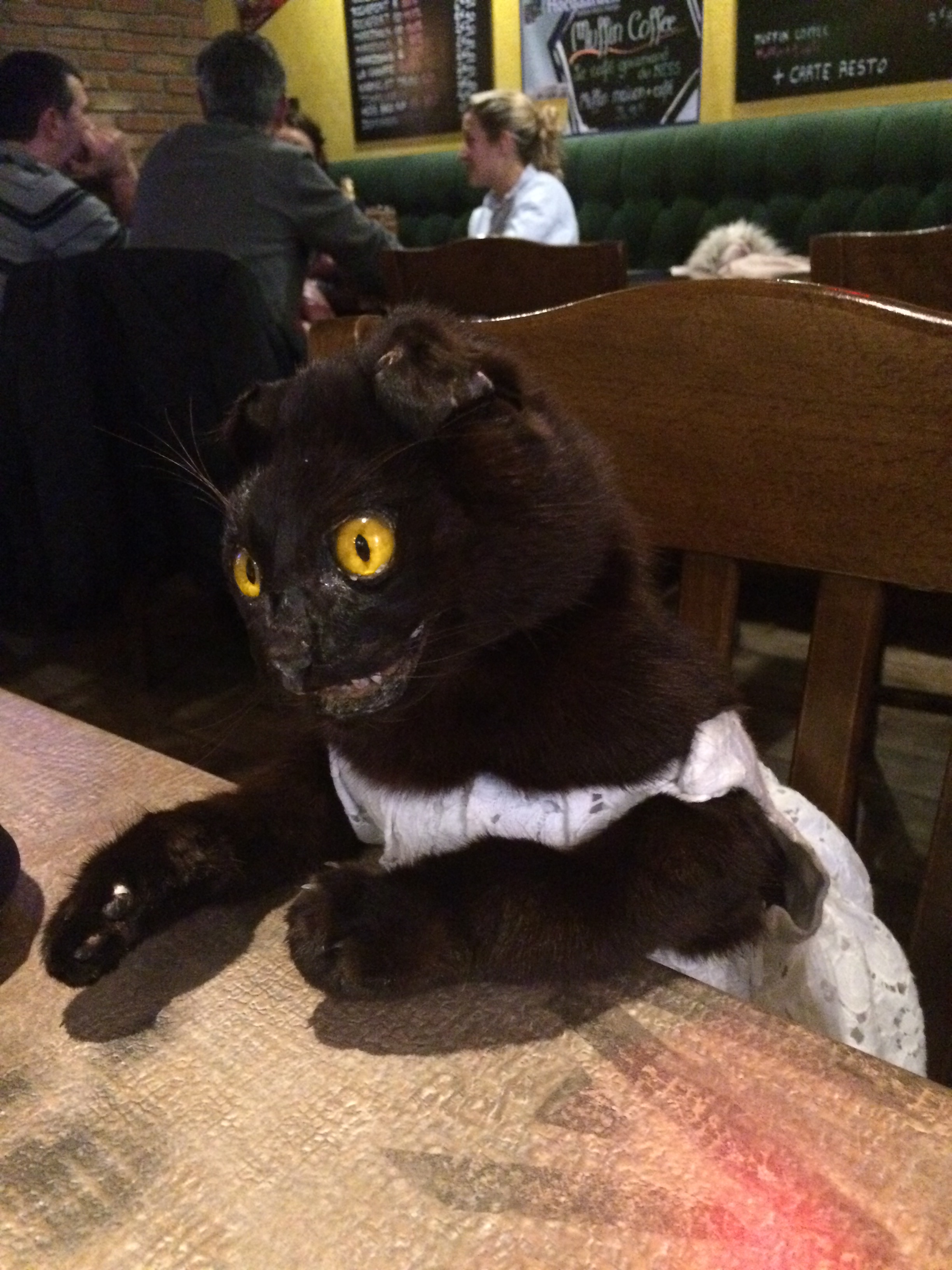 Madam Black