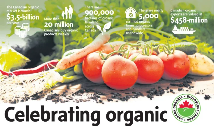 Celebrating organic
