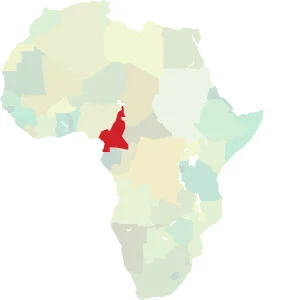 The Republic of Cameroon on the road to emergence