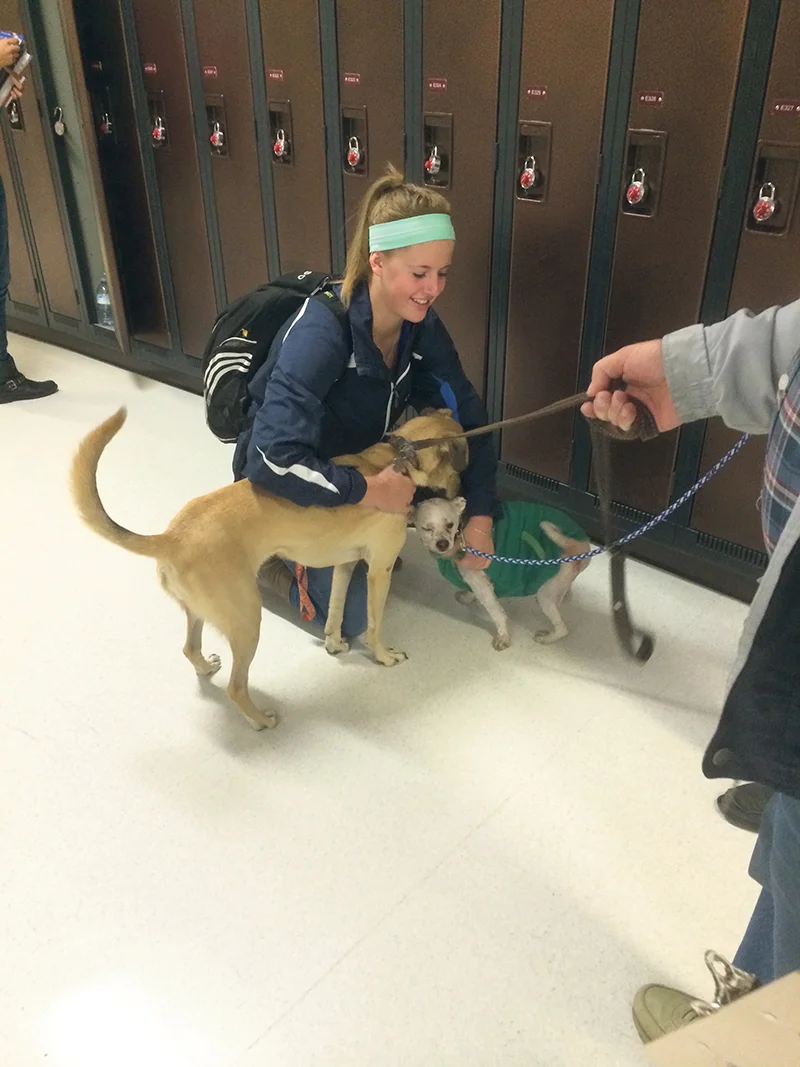Puppy Days at Grand Prairie Regional College are very popular. They are an example of the many initiatives of student support. supplied