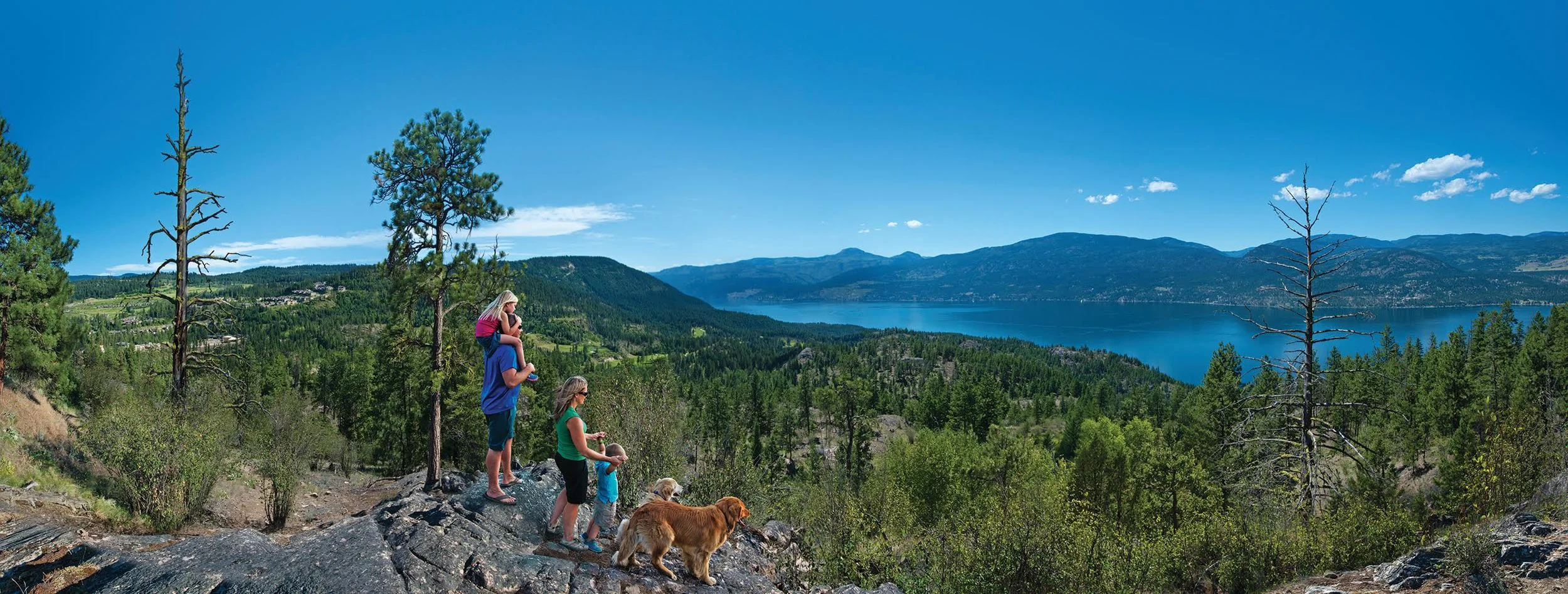 Predator Ridge: Life, Perfected