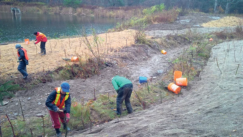 Volunteers installing live stakes to stabilize and restore the banks of the newly created stream channel in Creemore, ON. Creemore Nature Preserve, ON