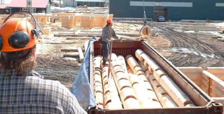 Canadas_Log_People-785x400.jpg