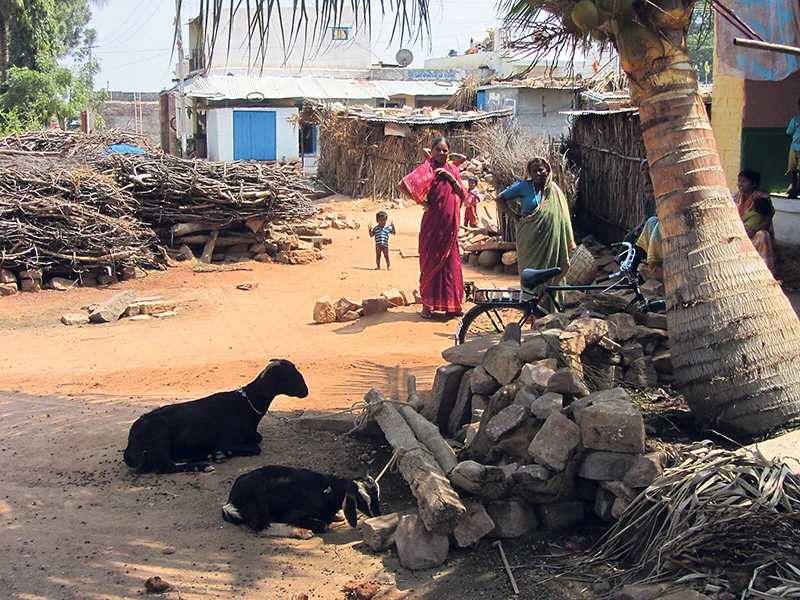 An approach based on program science has been used to effectively tackle a broad range of global health and social issues, including the HIV epidemic in India. supplied