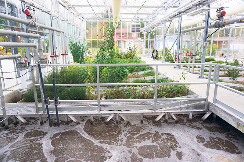 Technology developed by International Wastewater Systems recovers the heat generated by sewage to meet the heating and cooling requirements of residential, commercial and institutional buildings, including Sechelt’s sewage treatment plant 0n B.C.’s Sunshine Coast. supplied