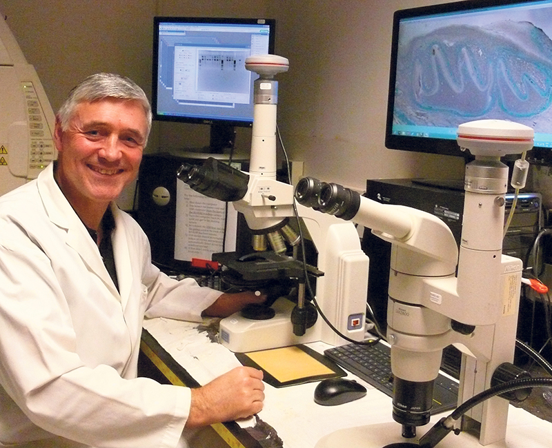 Dr. Bernhard Ganss of the University of Toronto’s Faculty of Dentistry is an expert in enamel research. supplied