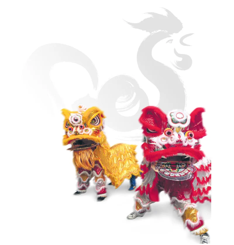 The lion dance is a traditional Chinese dance performed on big occasions, such as the Chinese New Year. Susanne Martin