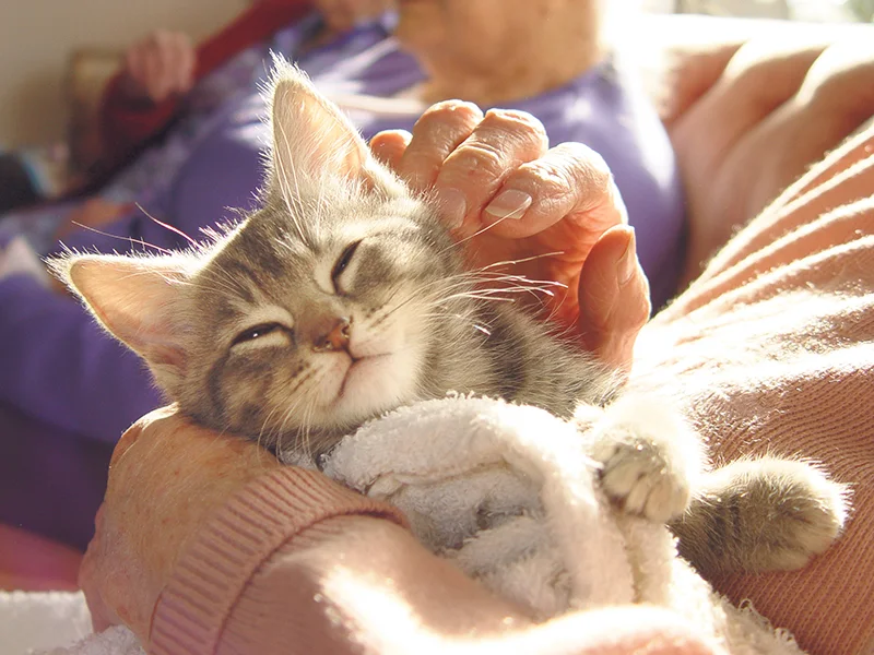 Caring for a pet can come with numerous benefits. Data shows that widows and widowers, for example, have an extended life expectancy when they have a pet. istockphoto.com